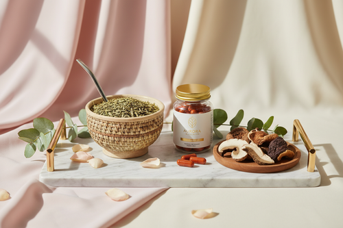 Energy & Vitality Bundle - Yerba Tea + Astaxanthin + Mushrooms